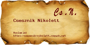 Csesznik Nikolett névjegykártya